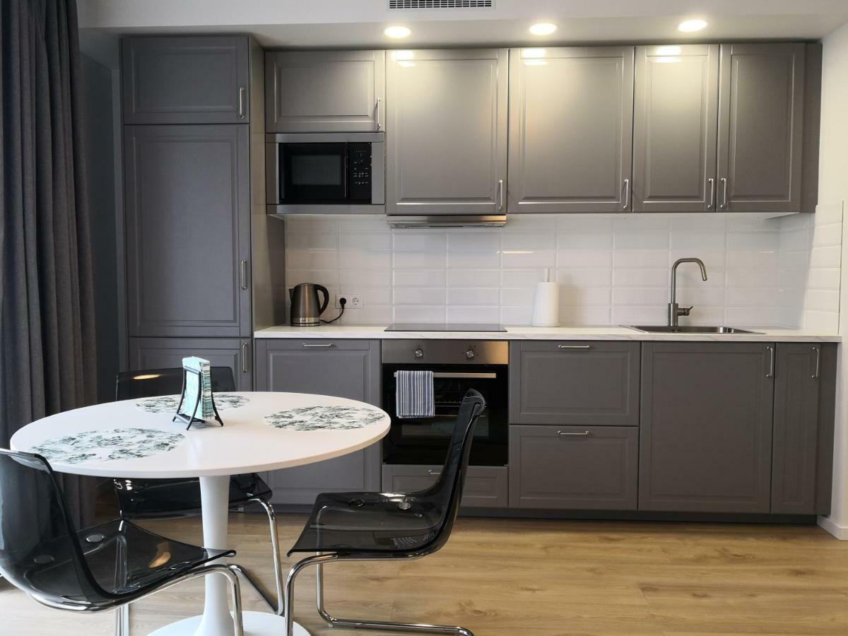Spacious Apartment Close To The Old Town 维尔纽斯 外观 照片