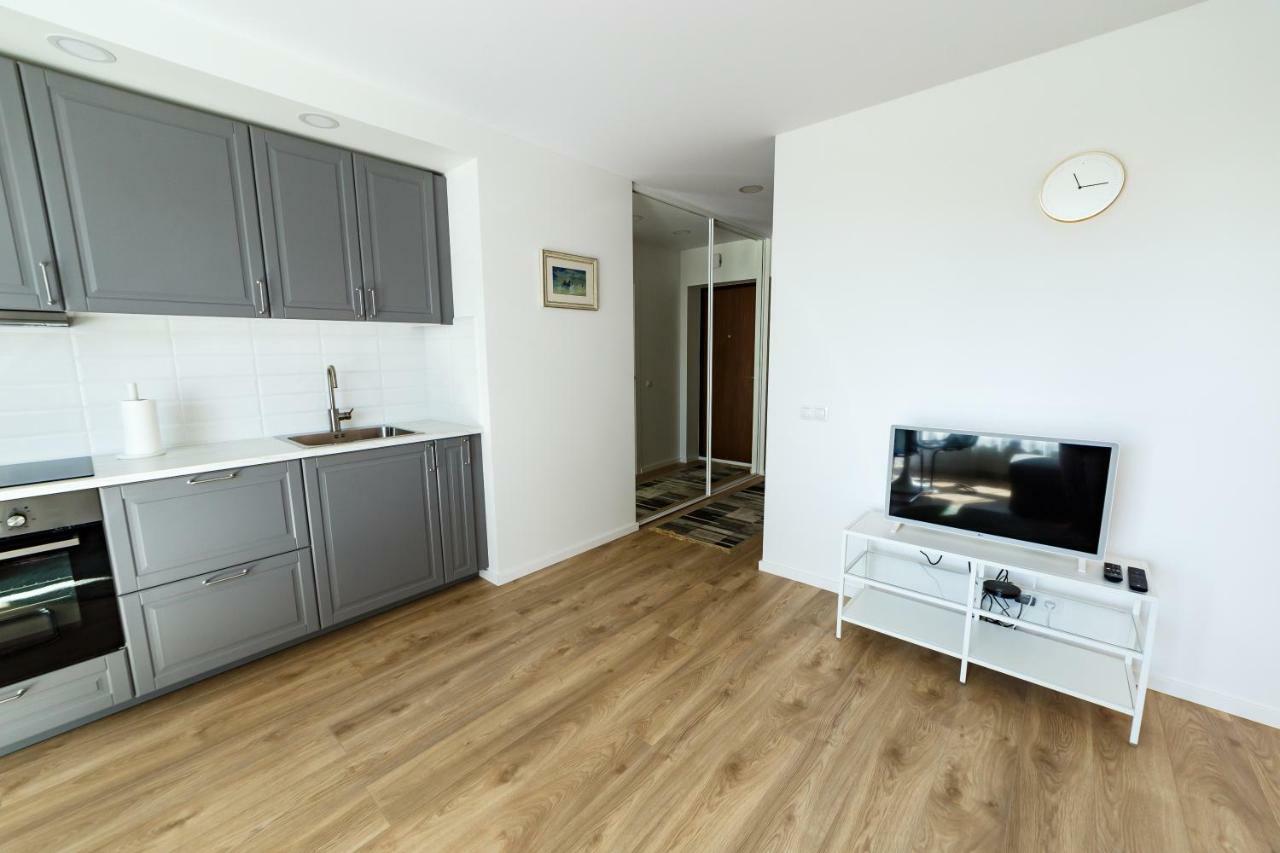 Spacious Apartment Close To The Old Town 维尔纽斯 外观 照片
